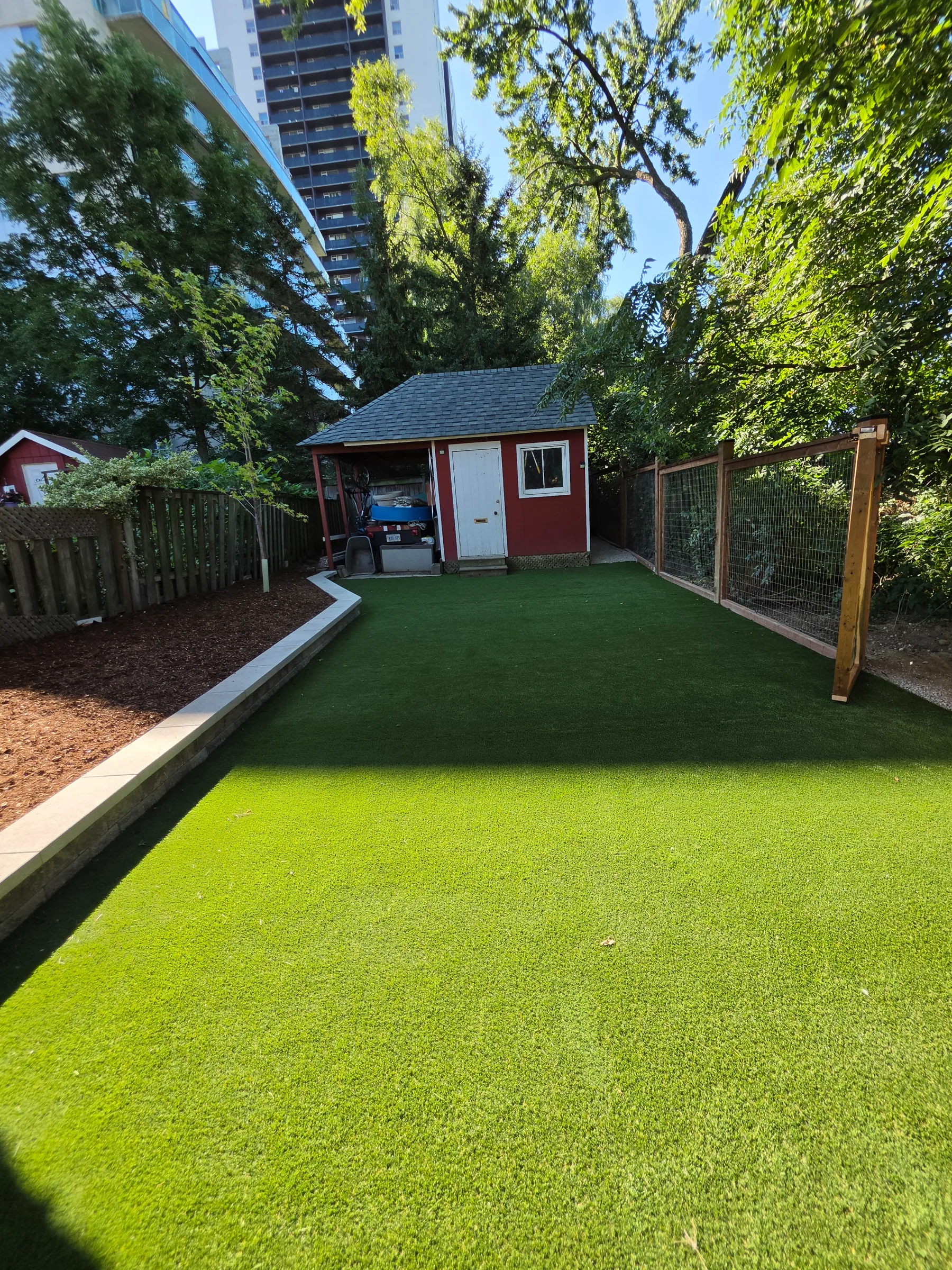 After: Dog-Friendly Backyard with Artificial Turf in North York transformation