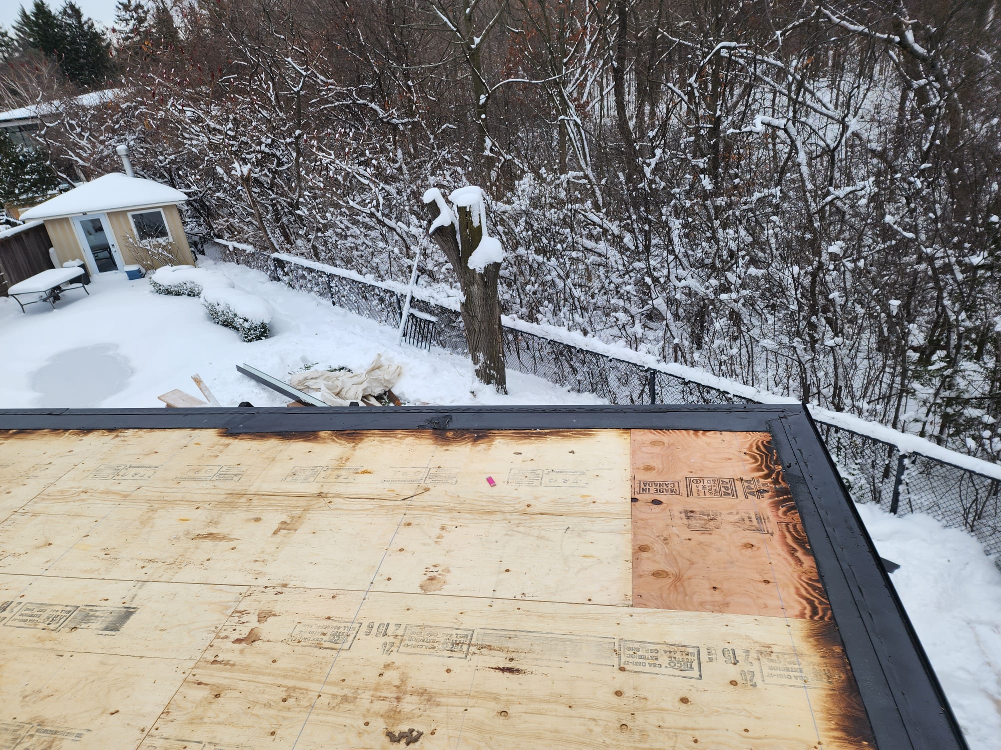 Pavilion Flat Roof in Markham — image 3