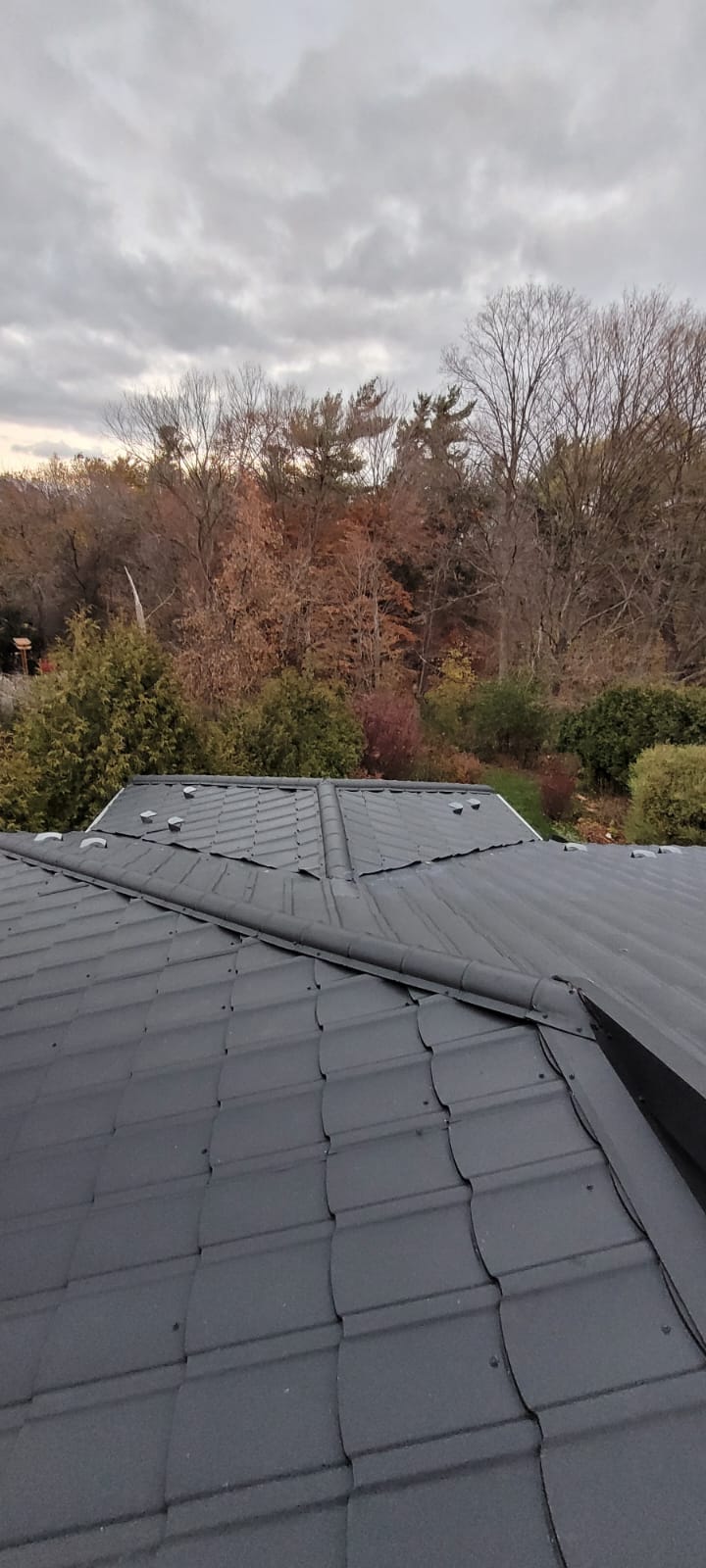 Metal Roof Brampton — image 7