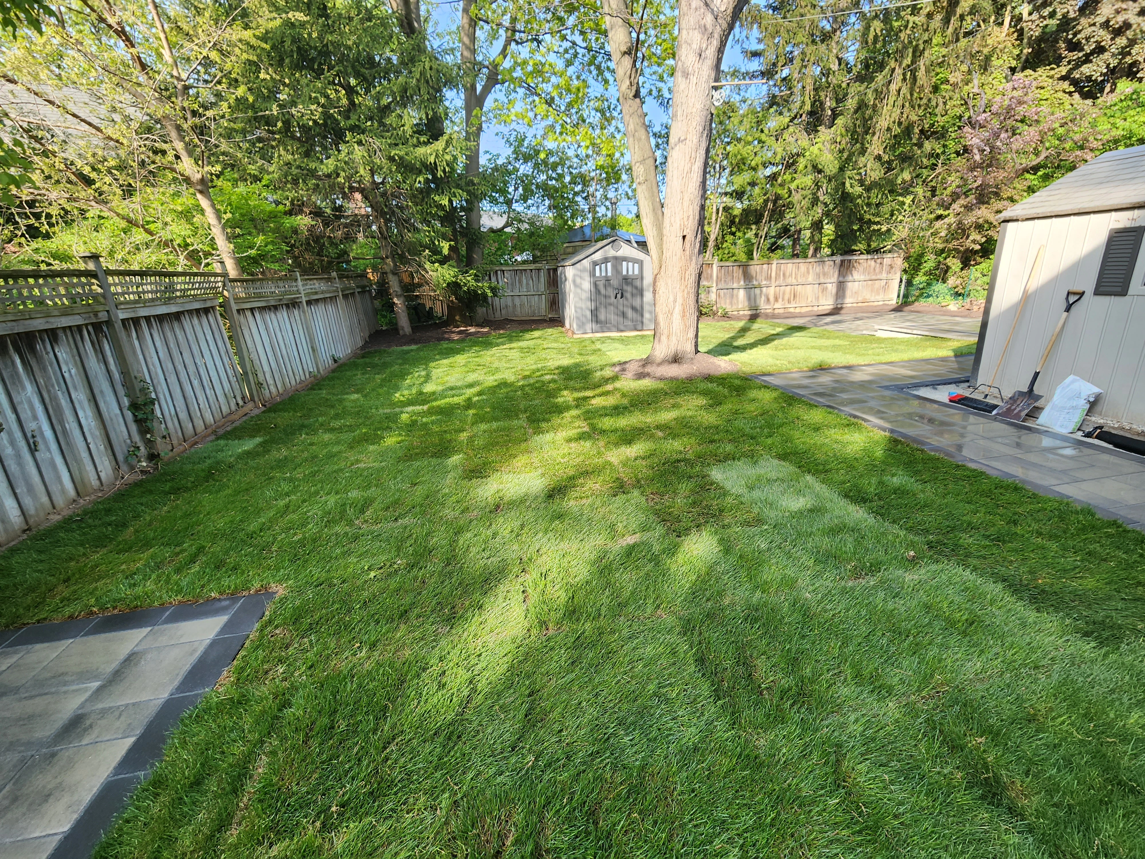 Backyard Landscaping Renovation — image 5